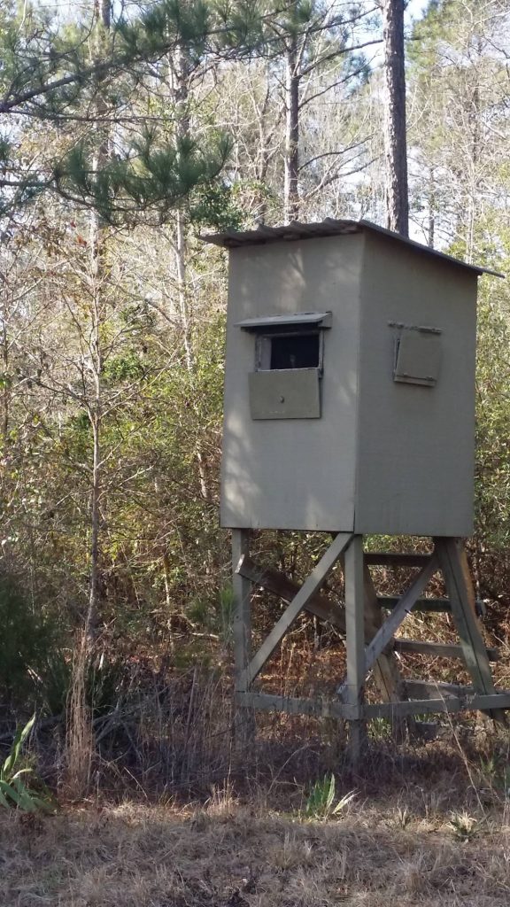 A Deer Hunting Stand In Woods-Deer Hunting Alabama-Rock Bottom Ranch 1831 Rocky Hill Rd Uriah Al 36480 251-233-9720