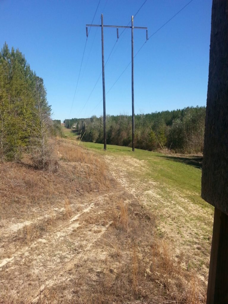 A Power Line In The Woods-Deer Hunting Alabama-Rock Bottom Ranch 1831 Rocky Hill Rd Uriah Al 36480 251-233-9720