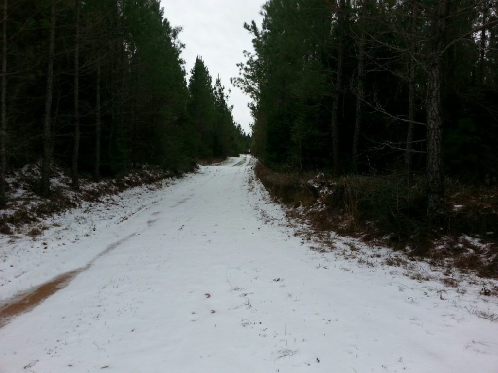 A Snowy Path In Woods-Deer Hunting Alabama-Rock Bottom Ranch 1831 Rocky Hill Rd Uriah Al 36480 251-233-9720