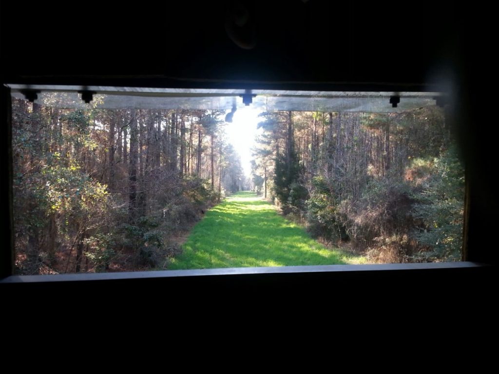 Looking Out A Deer Hunting Stand In The Woods-Deer Hunting Alabama-Rock Bottom Ranch 1831 Rocky Hill Rd Uriah Al 36480 251-233-9720